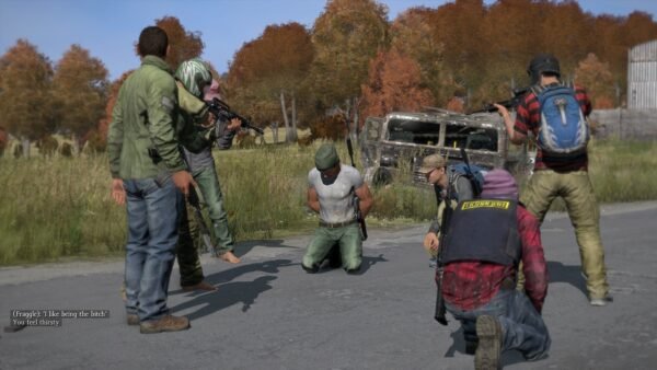 DayZ - Image 2