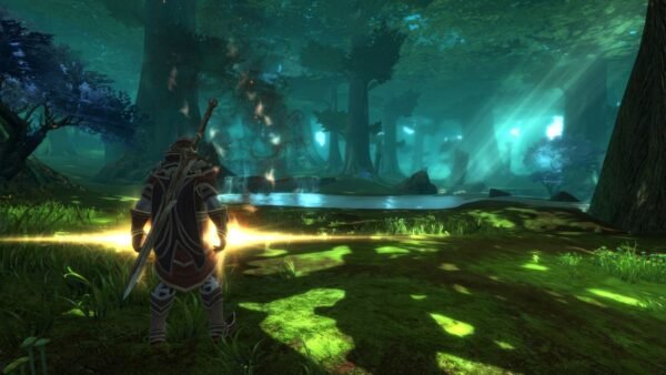 Kingdoms of Amalur: Re-Reckoning - Image 4