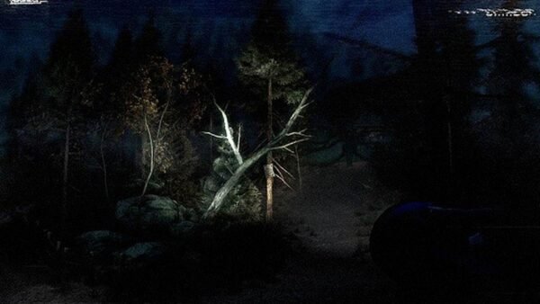 Slender: The Arrival - Image 4