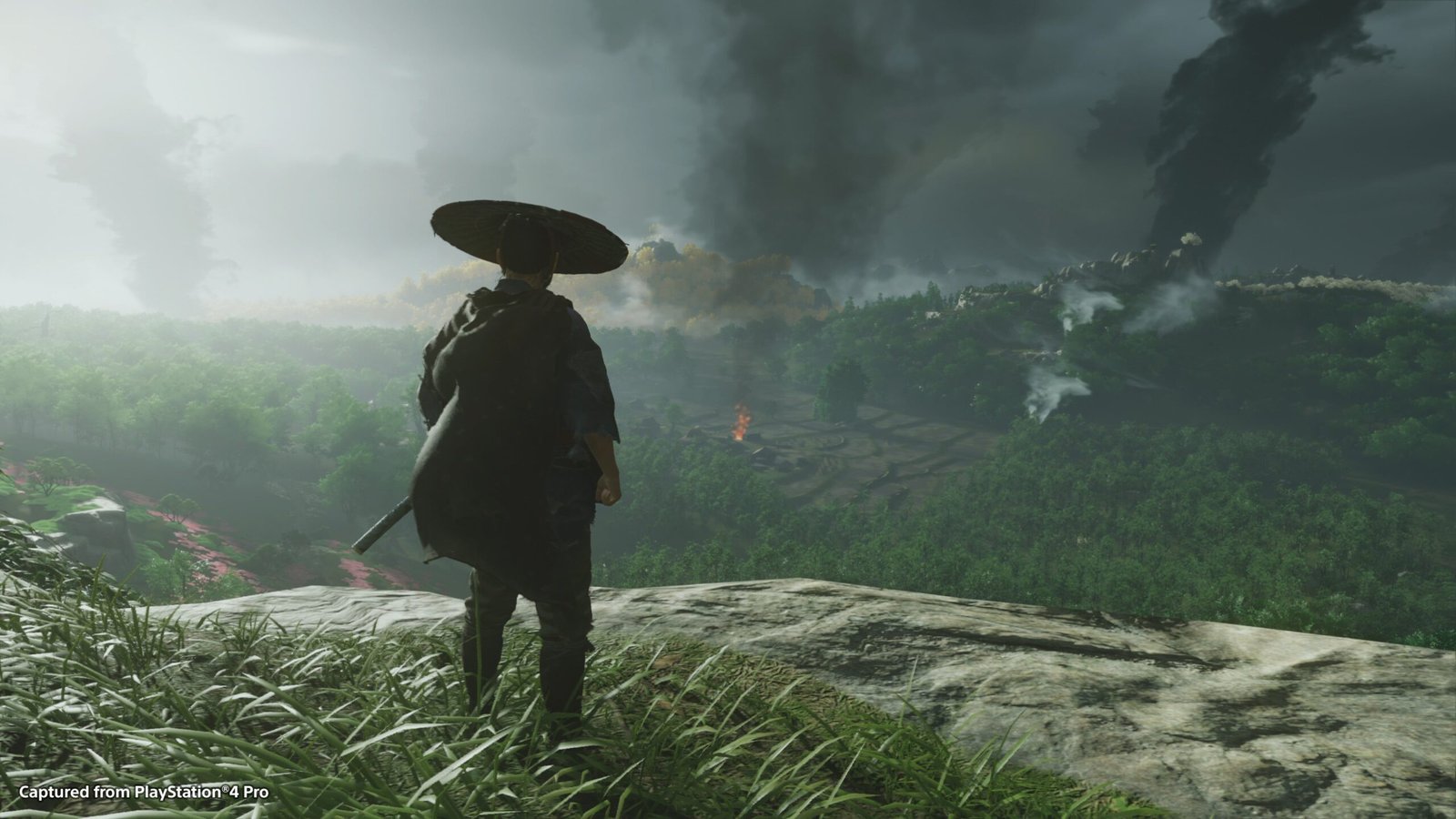 Ghost of Tsushima: VERSIÓN DEL DIRECTOR - Image 3